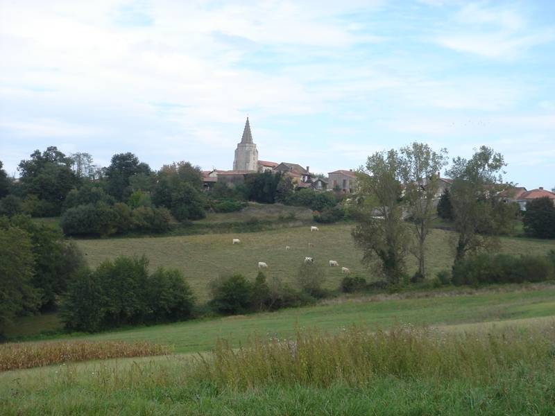 Randonnée : A Brassempouy, circuit de Lamude