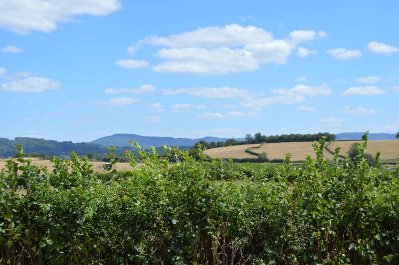 Randonnée : Sur les Hauteurs de Laizy