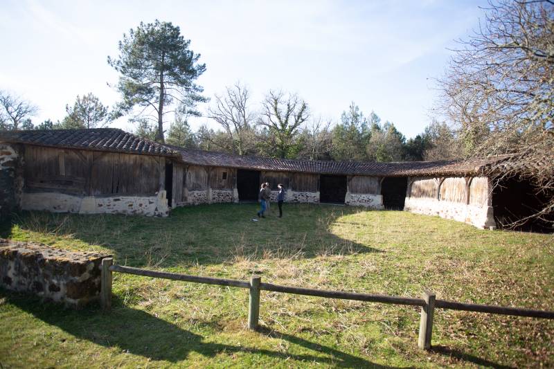 Randonnée : Bergeries en Gironde du Sud