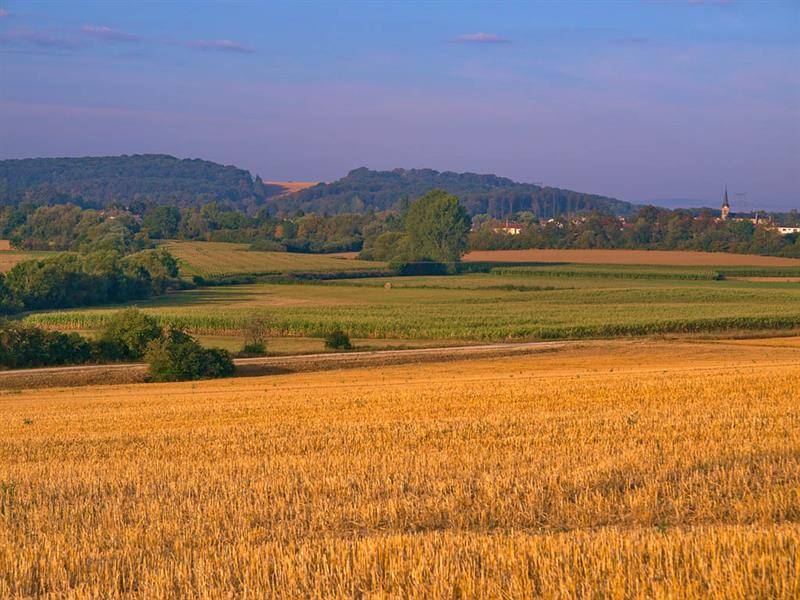 Randonnée : Voie verte du pays de Pange