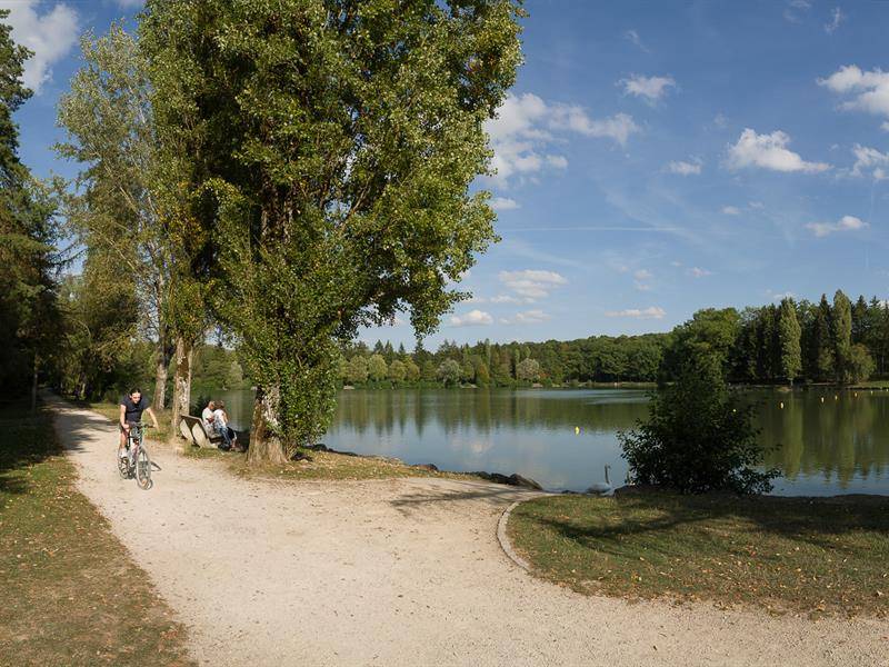Randonnée : Circuit Pédestre 23 - Entre Forêt et Thermes - 15 km