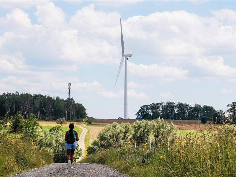 Randonnée : Au pied des Éoliennes