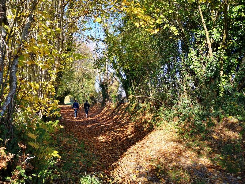 Illustration : Circuit pédestre n° 89 "Sur les pas de la ligne de chemin de fer : Tours-Montluçon"