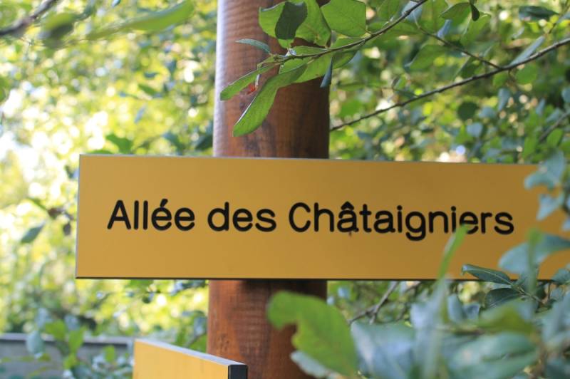 Randonnée : Circuit La forêt de Boubon