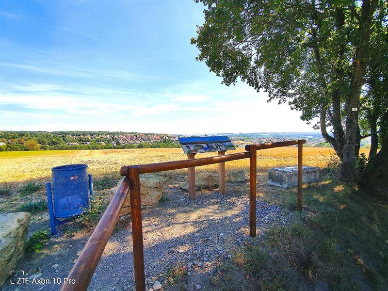 Randonnée : Sentier pédagogique du Berfang