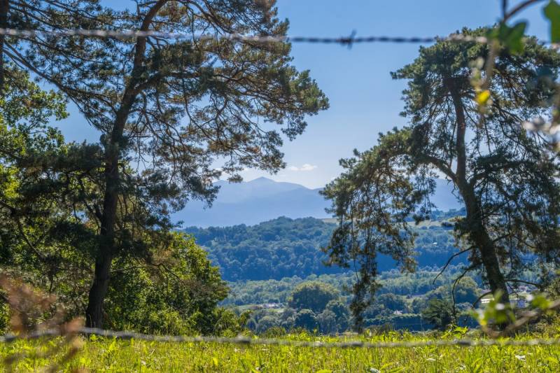 Randonnée : Lée - En passant par le Chemin Henri IV