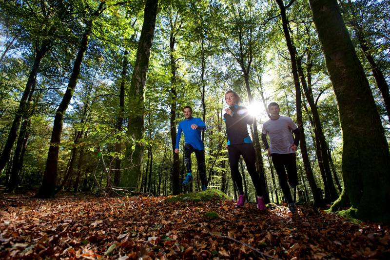 Randonnée : Circuit Trail n°10 : Grand Trail des Monts de Guéret