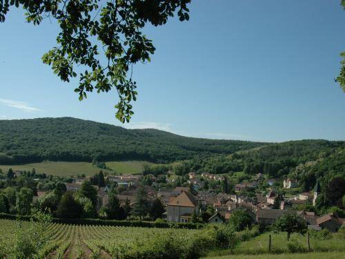 Randonnée : Sur les sentiers du Sud Bourgogne - De Tournus à Lugny