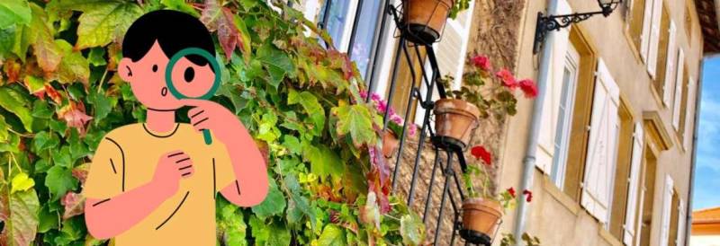 Randonnée : Théodon sur les traces des vignerons