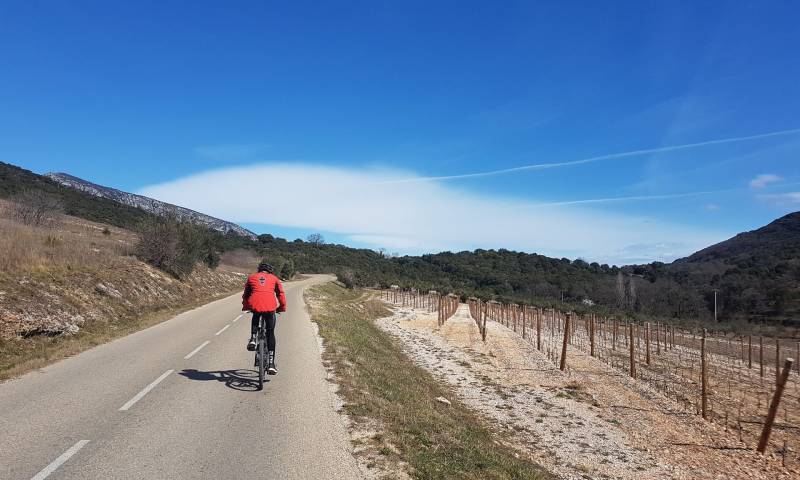 Randonnée : BOUCLE CYCLO N°10 - ENTRE LES VALLÉES DE LA BUÈGES ET DE L'HÉRAULT