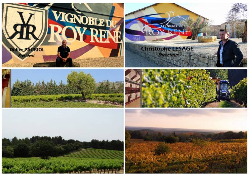 Randonnée : Sentier vigneron du Vignoble du Roy René