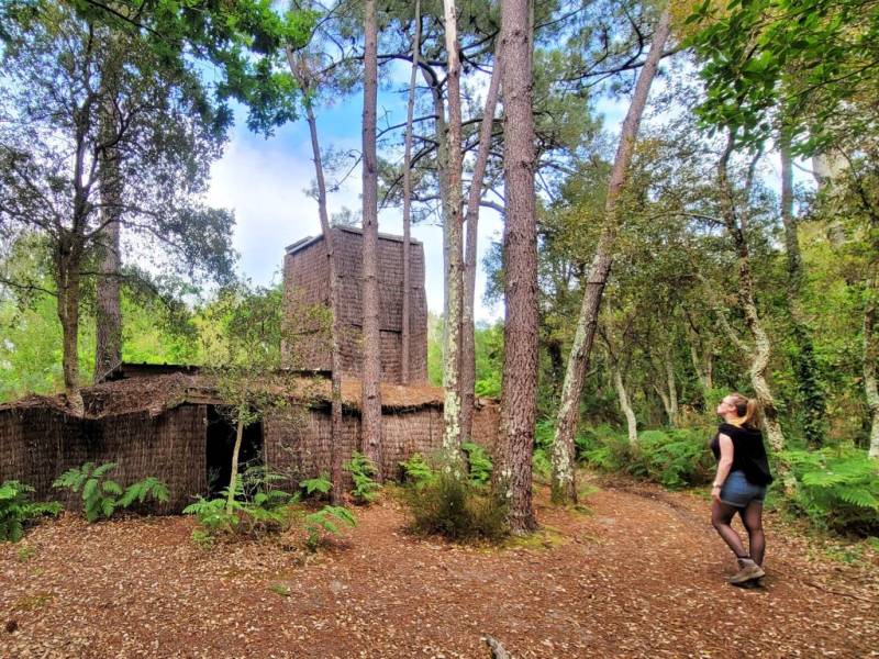 Randonnée : A Vieux-Boucau, sentier découverte La Palombière