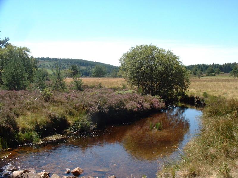 Randonnée : VTT - Gravel - Le Plateau de Millevaches - 53 km - circuit 44