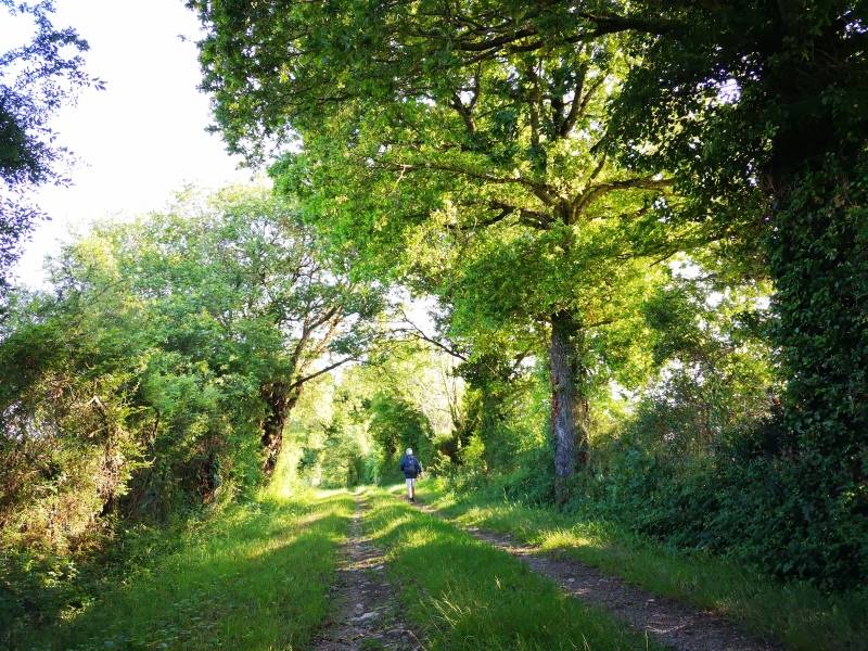 Randonnée : Circuit pédestre n° 111 : l'évasion verte