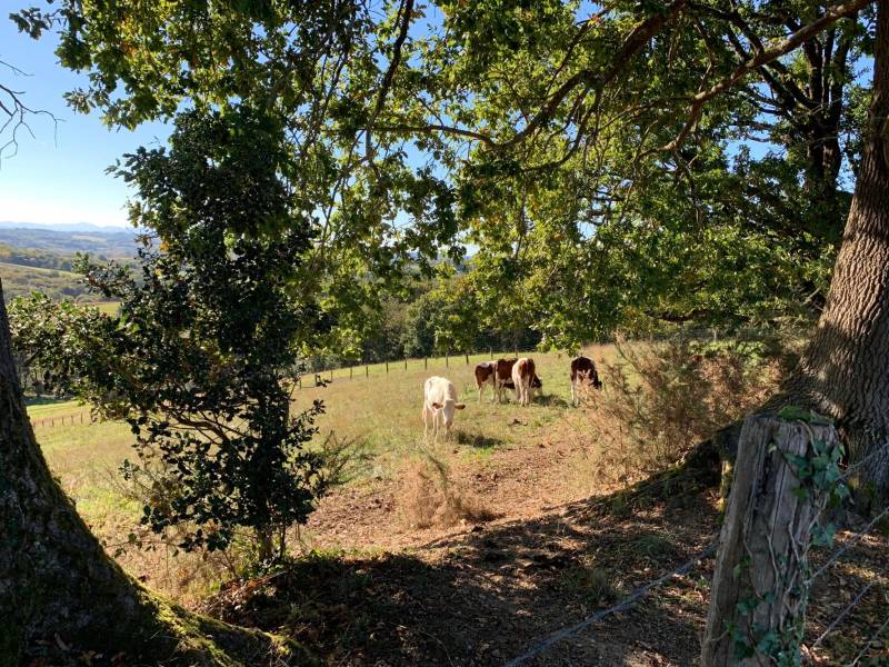 Randonnée : Le chemin des crêtes