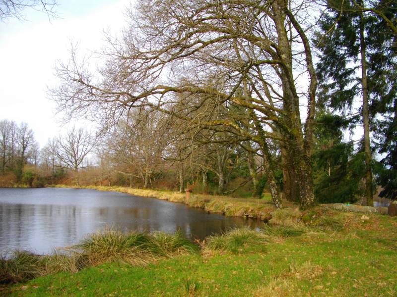 Randonnée : sentier des étangs