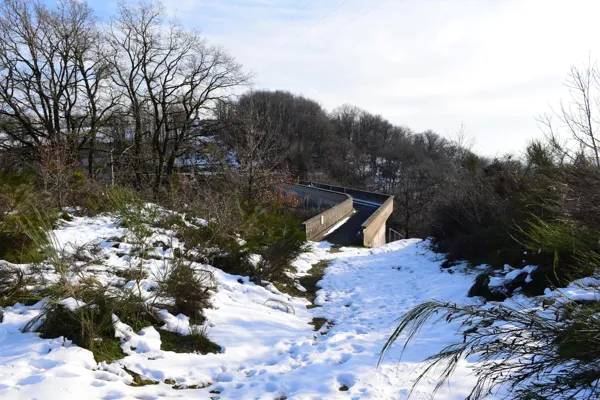 Randonnée : Barrage de Saint Amans (lâchers de truites)