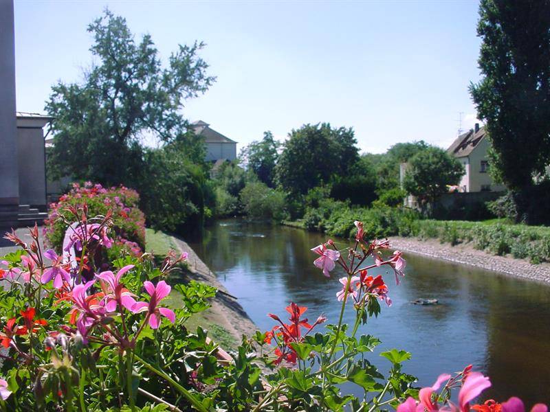 Randonnée : Sentier d'interprétation 'En balade sur les bords de la Fecht''