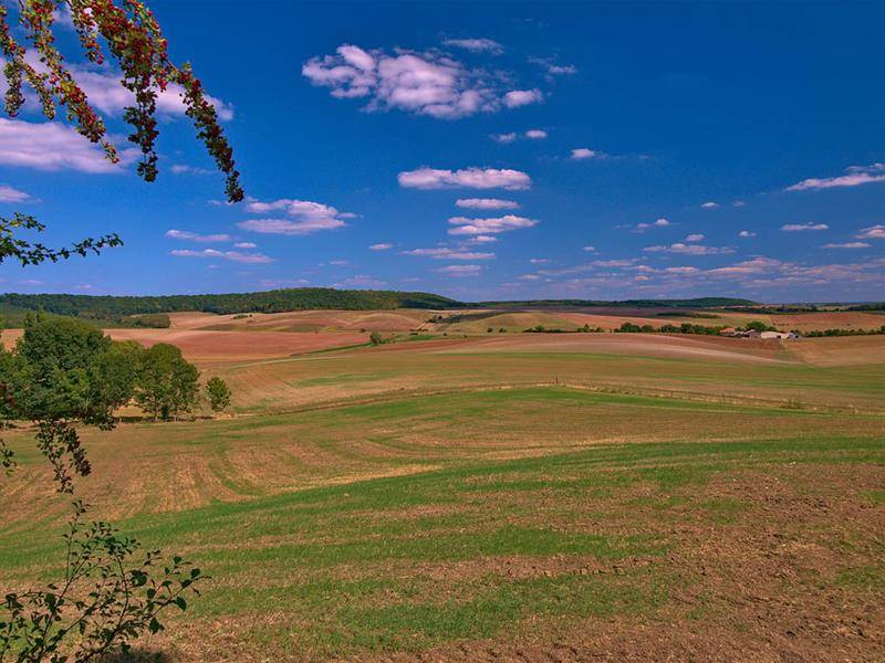 Randonnée : Circuit vélo du sel