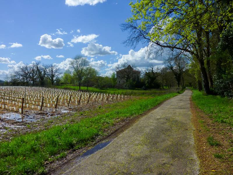 Randonnée : Balade sur les Berges du Lot