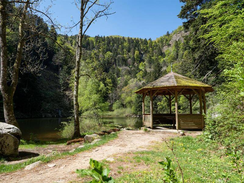 Randonnée : Parcours Trail : Le Gaschney - Entre crêtes et lacs