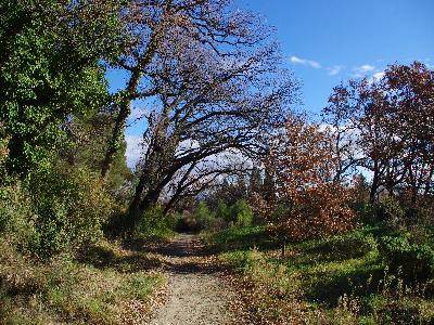 Randonnée : La Via Domitia à St Rémy de Provence