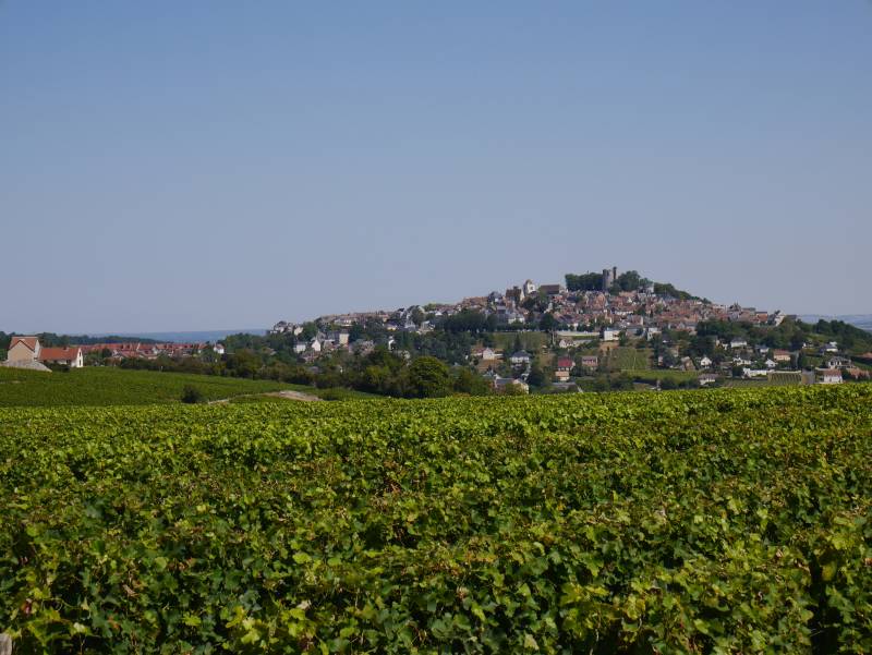 Randonnée : Le tour de Sancerre (parcours bleu)