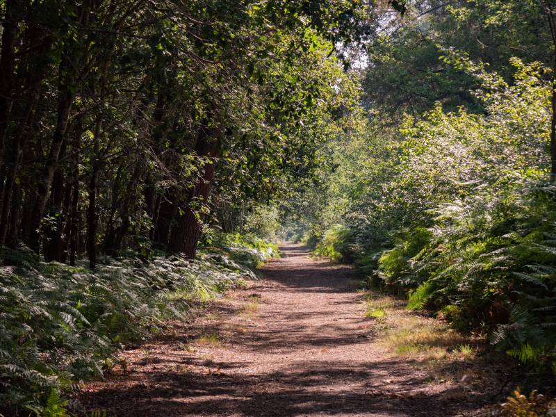 Randonnée : Le sentier de la Berle : un sentier naturellement fun !