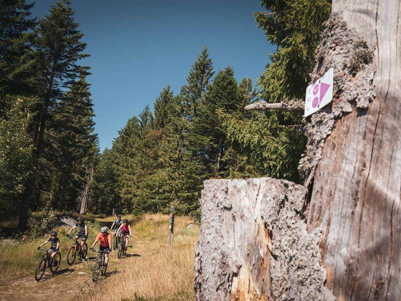 Randonnée : Circuit VTT 11 - Tour Des Immerlins