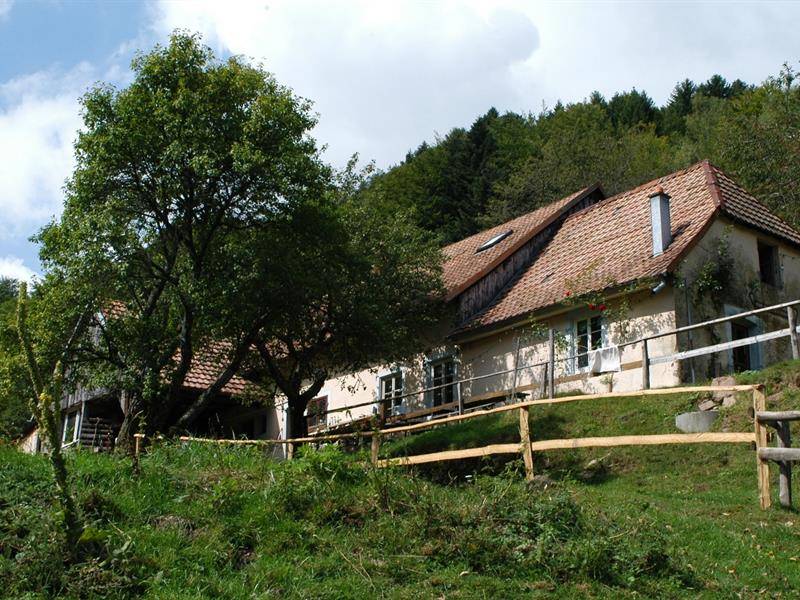Randonnée : Balade ferme-auberge Entzenbach : sur les traces d'un patrimoine rural
