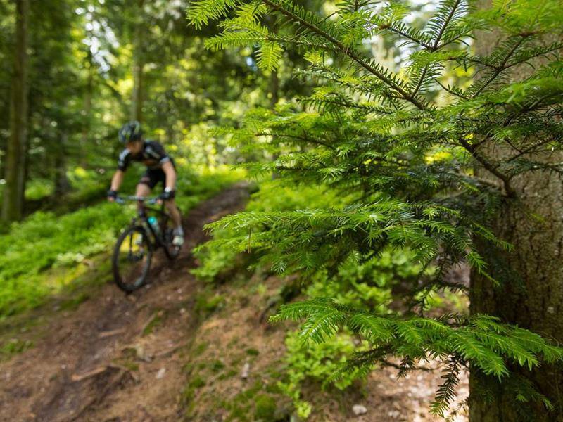 Randonnée : Circuit VTT n° 80 le Void des roches