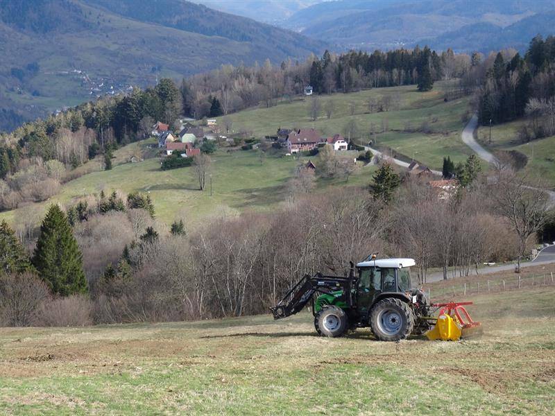 Randonnée : Trail - Les balcons du Frenz