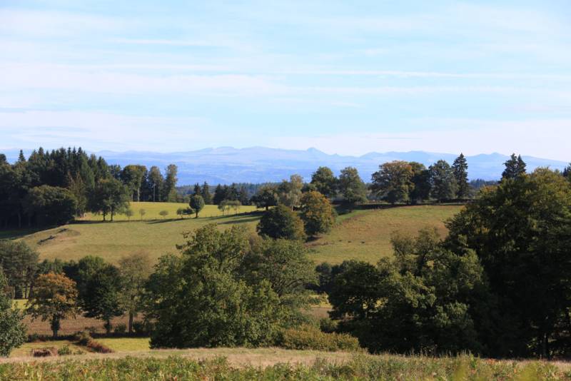 Randonnée : VTT - Gravel - Le Puy de Sabat - 32 km - circuit 20