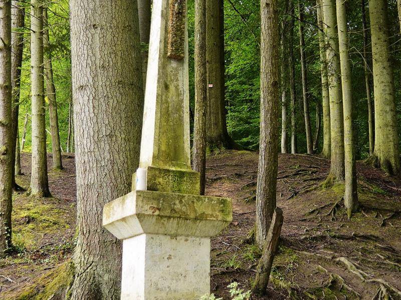 Randonnée : Promenade linéaire Thionville - Bellevue