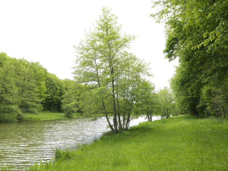 Randonnée : Randonnée La Ferrière