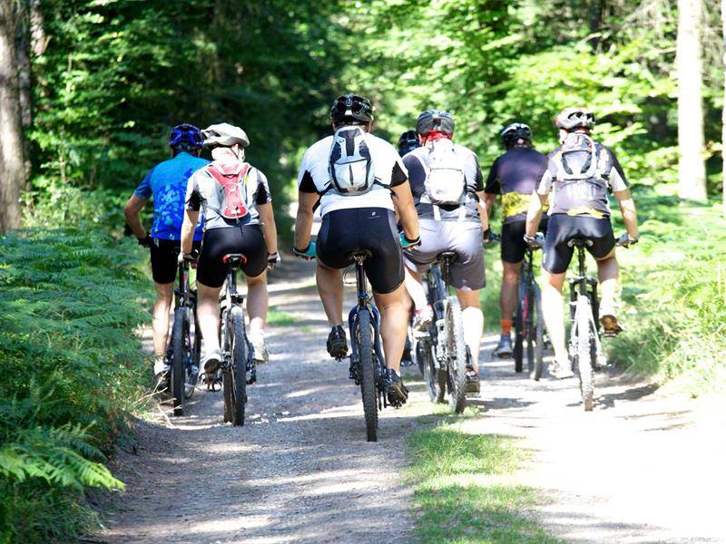 Randonnée : Circuit VTT du Frohret
