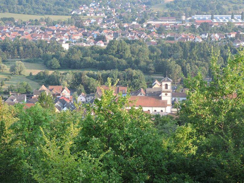 Randonnée : Randonnée de la Chapelle au Schiebenberg