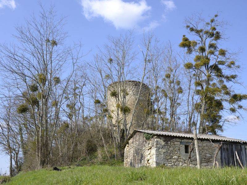 Randonnée : Boucle du Moulin