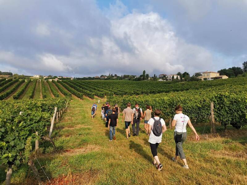 Randonnée : Parcours marche/trail/VTT