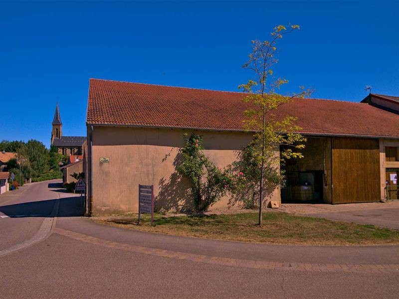 Randonnée : Circuit du charmois