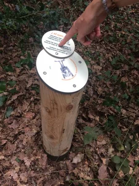 Randonnée : Balade - Sentier d'interprétation du Bois du Bruel (Vabre-Tizac)