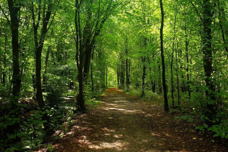 Randonnée : Circuit de randonnée : Petites rues et vieux chemins