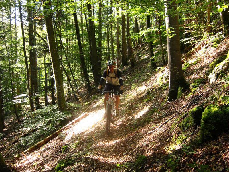 Randonnée : Circuit VTT n°27 Le vallon du Steinbach