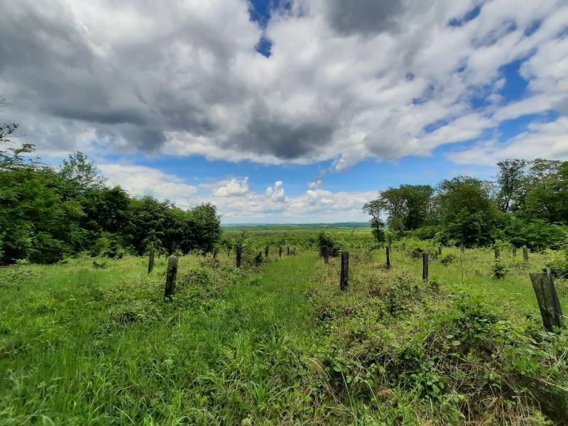 Randonnée : Remontez le temps en forêt de Hez-Froidmont