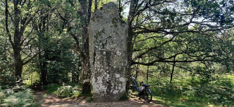 Randonnée : Circuit à vélo de Oradour-sur-Glane à Mortemart