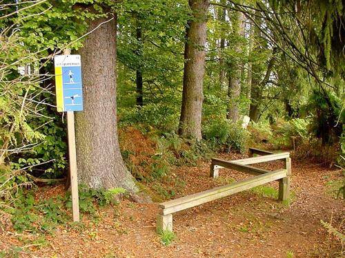 Randonnée : Parcours de santé Forêt du Niederwald