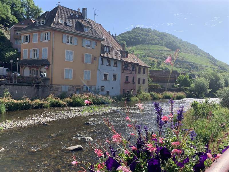 Randonnée : Au fil de l'eau, soyez Na'thur depuis Thann