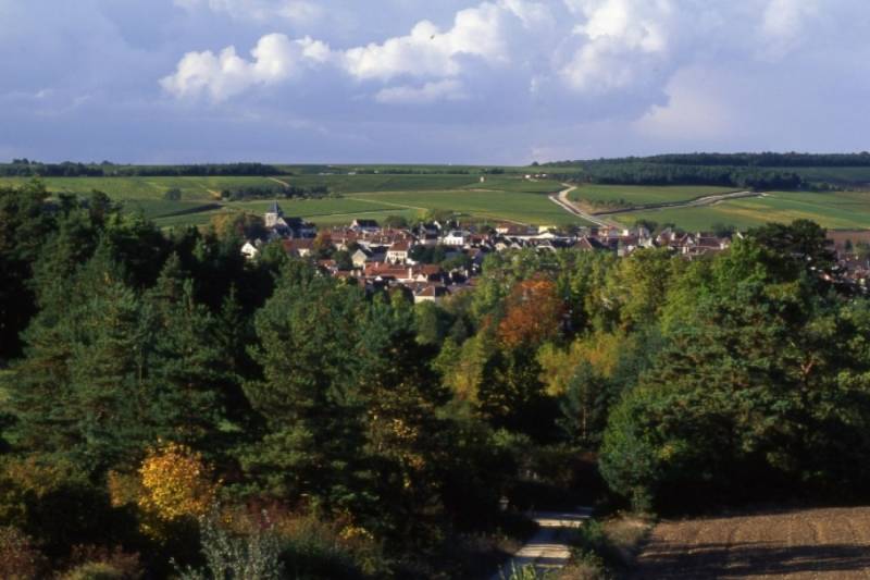 Illustration : Tour de Béline