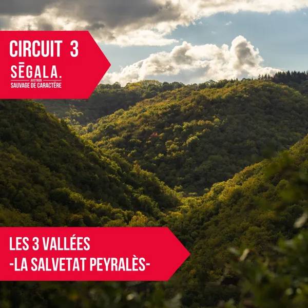 Randonnée : circuit VTT VAE - Les 3 vallées - La Salvetat Peyralès