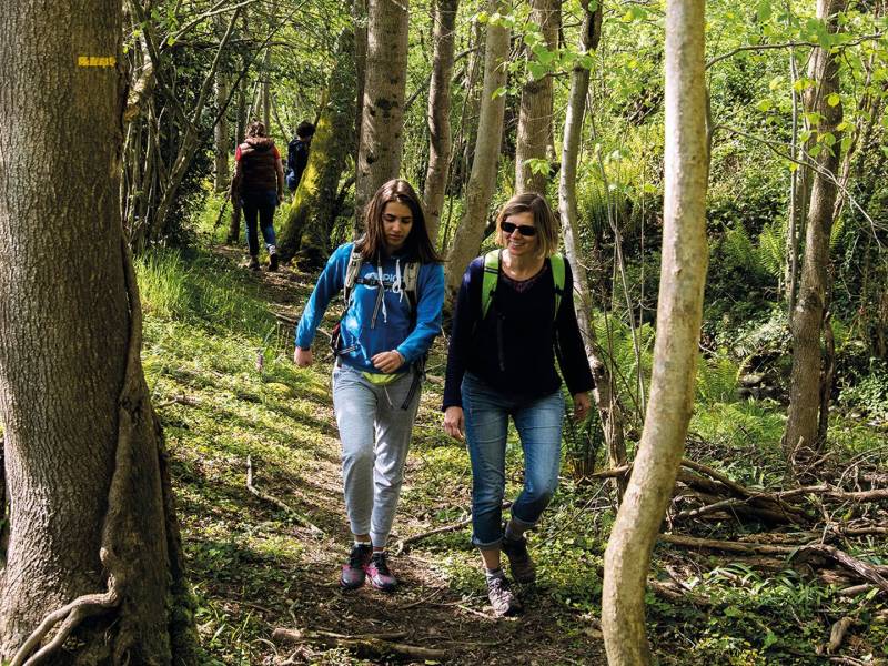 Randonnée : Ouillon : chemin des bergers